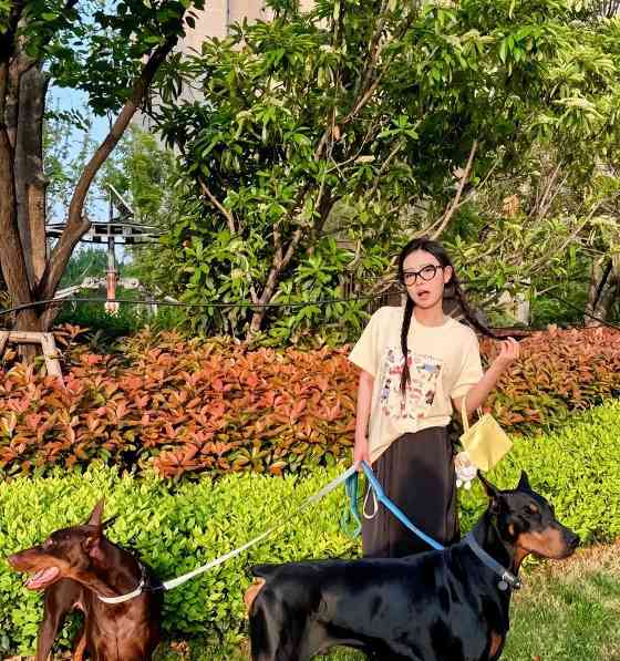 女孩子适合养什么大狗？（选择适合女孩子养的大狗品种）