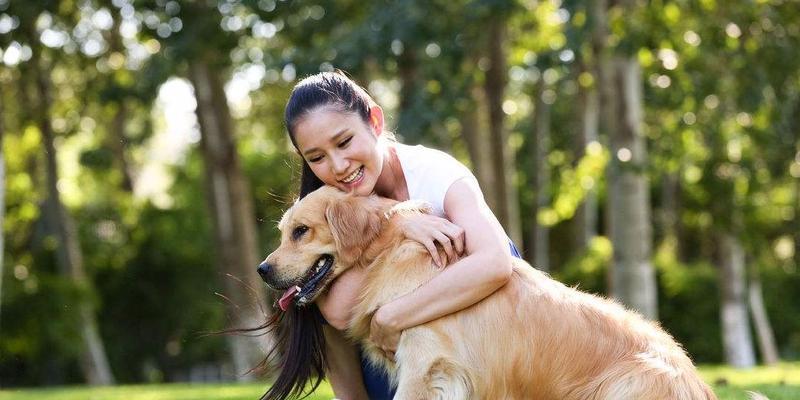 女孩子适合养什么大狗品种｜养狗指南与推荐