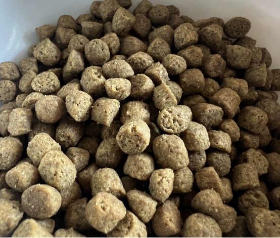 伯纳天纯酥化猫粮测评,这么便宜能吃吗? 伯纳天纯猫粮好不好