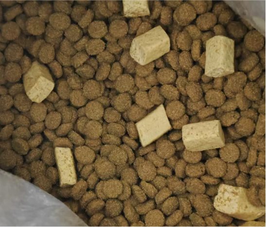 大胆开麦:喵梵思酥心粮(猫粮)到底怎么样? 喵梵思猫粮到底怎么样?