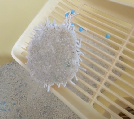 猫咪上厕所=喵尔代夫度假?有鱼木薯混合猫砂测评 有鱼猫砂好用吗