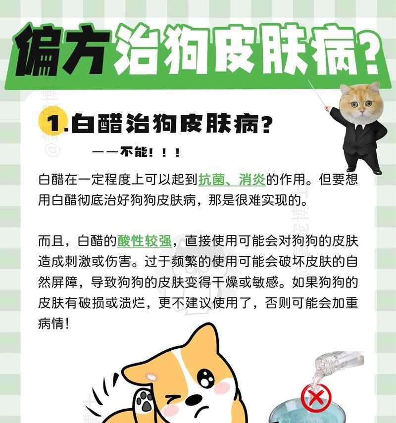 以幼犬预防皮肤病,哪种药物更好?(选择适合幼犬的药物预防皮肤病是关键) 以幼犬预防皮肤病,哪种药物更好?(选择适合幼犬的药物预防皮肤病是关键)