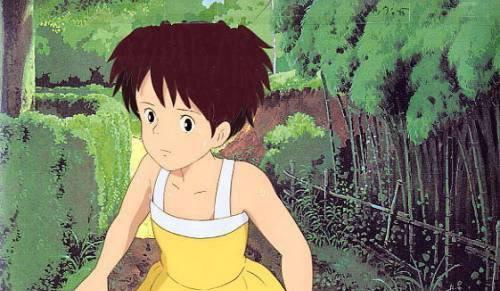 龙猫抗生素(探索龙猫使用抗生素的必要性及安全性) 龙猫抗生素(探索龙猫使用抗生素的必要性及安全性)