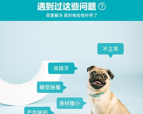 为什么给狗狗补充钙片很重要?(探索狗狗补充钙片的好处及适用情况) 为什么给狗狗补充钙片很重要?(探索狗狗补充钙片的好处及适用情况)