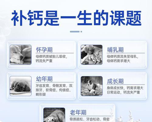 狗狗补充钙片的重要性与适用情况｜养宠实用指南