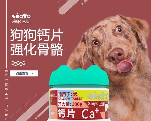 为什么给狗狗补充钙片很重要?(探索狗狗补充钙片的好处及适用情况) 为什么给狗狗补充钙片很重要?(探索狗狗补充钙片的好处及适用情况)