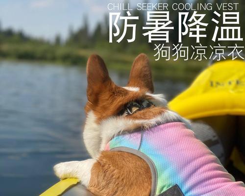 狗狗中暑发烧急需打针，保护它的健康！（了解狗狗中暑发烧的原因和应对措施，即刻行动！）