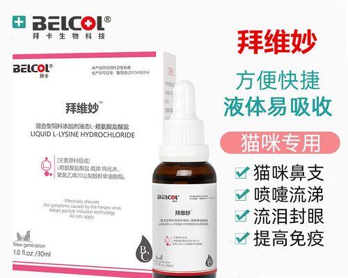 小猫感冒用药指南｜有效治疗与护理全解析