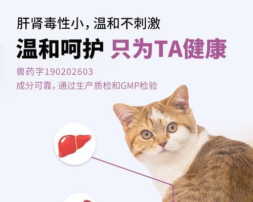 狗狗拉肚打喷嚏，应该如何用药治疗？（给狗狗合适的药物，让它健康快乐地生活）