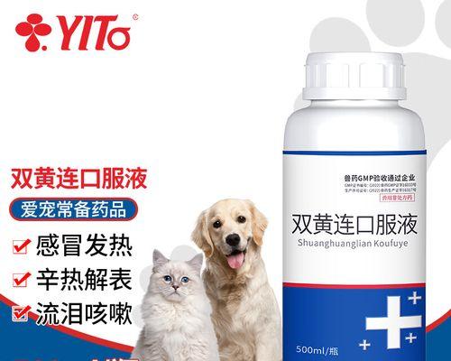 狗狗拉肚打喷嚏用药指南｜健康护理全攻略