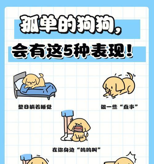 狗狗无精原因分析及恢复方法｜全面指南