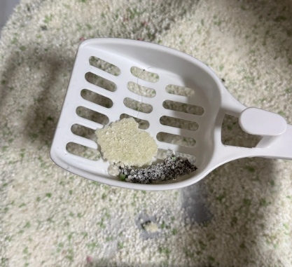 里兜木薯猫砂结团好吗