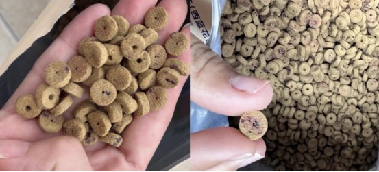 蓝氏狗粮好不好