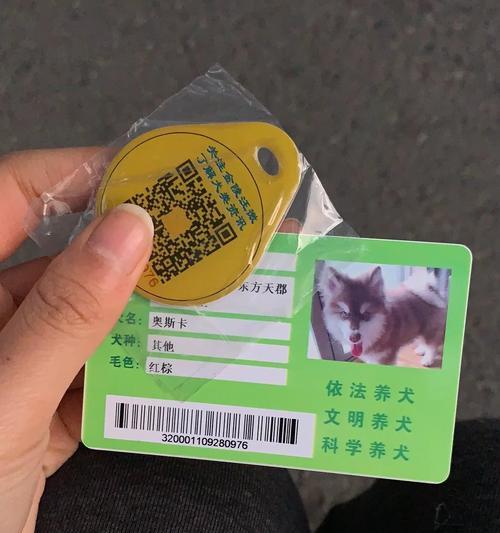 狗户口办理需提供的证件及相关要求（了解狗户口办理所需证件及要求，为宠物生活保驾护航）