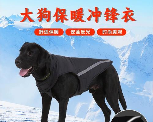 金毛狗何时掉毛？（了解金毛狗的掉毛周期及原因）