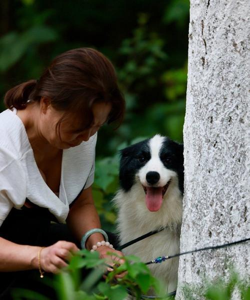 成都犬舍（探索成都犬舍的多样魅力，让你爱上这座城市）