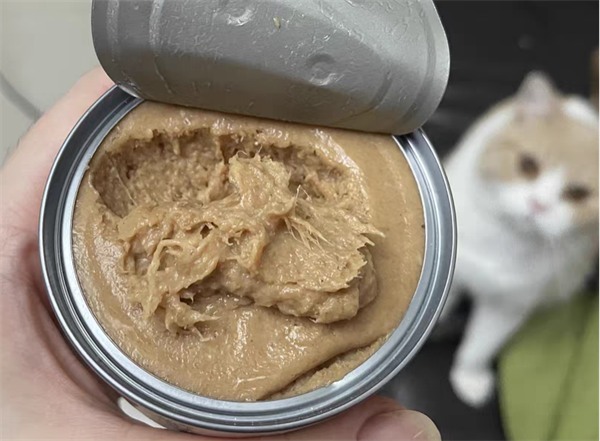 国产猫咪主食罐测评