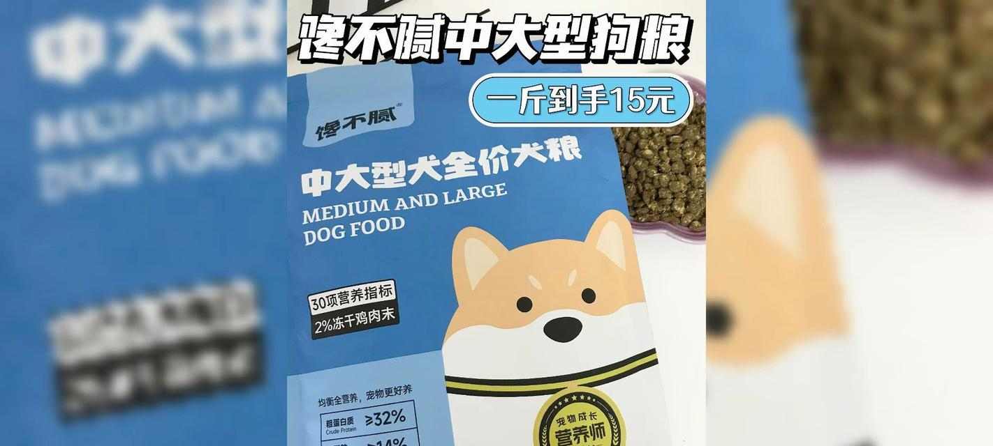 狗怀孕40天需要饮食搭配，关注健康成长（为宝宝提供全面营养，增强免疫力）