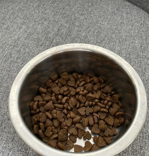 泰迪狗狗的饮食需求与健康管理（以泰迪生了狗狗吃什么？如何合理安排饮食？）