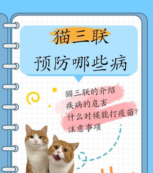 小猫拉稀原因及处理方法｜常见问题全攻略