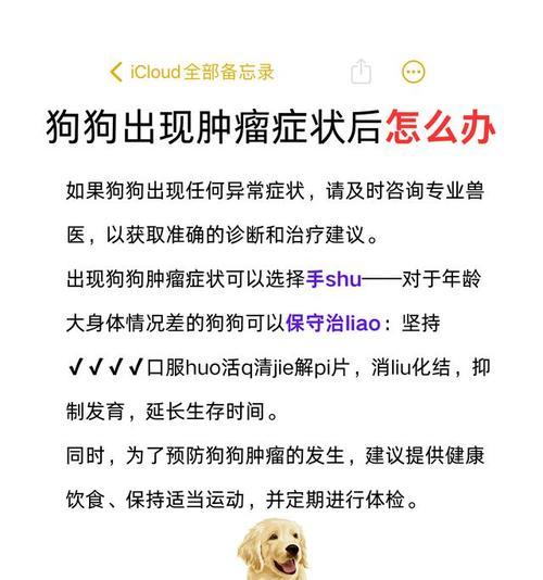 狗狗肿瘤破了该抹什么药？（探索有效的肿瘤抹药方法，关注狗狗健康）