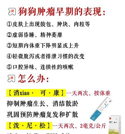 狗狗肿瘤破了该抹什么药？（探索有效的肿瘤抹药方法，关注狗狗健康）