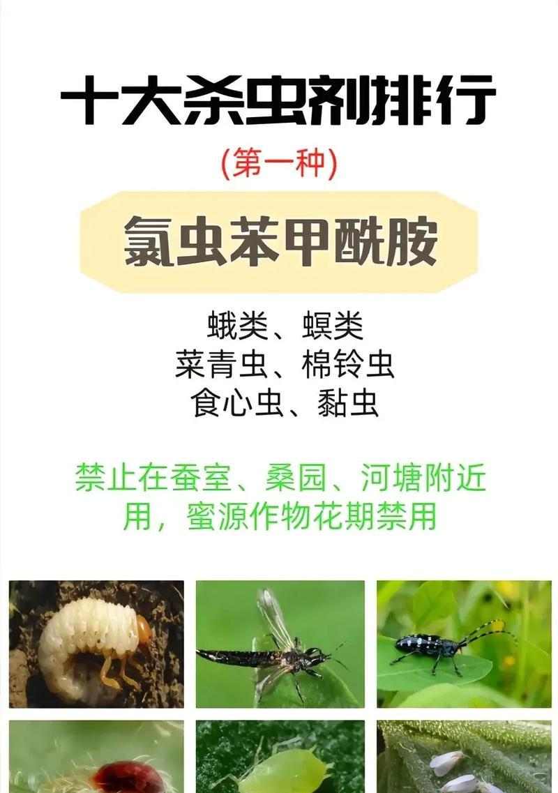 人体寄生虫问题的解决办法（药物治疗是最有效的选择）