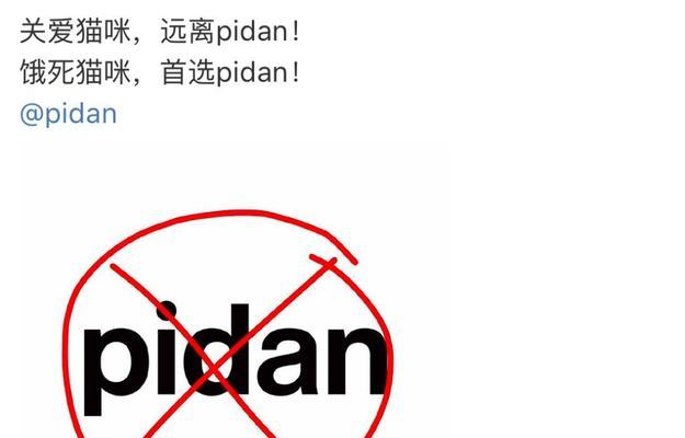 猫咪突然断粮，你应该准备什么？（为了宠物的健康和安全，应急备齐这些关键物品！）