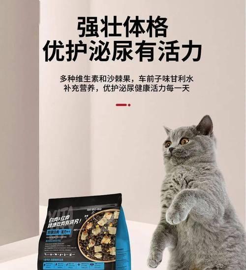 猫咪突然断粮，你应该准备什么？（为了宠物的健康和安全，应急备齐这些关键物品！）