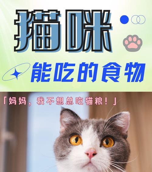 猫咪的日常饮食需求（全面了解猫咪的饮食习惯与需求，打造健康的餐桌）