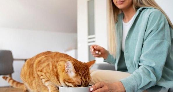 猫咪的日常饮食需求（全面了解猫咪的饮食习惯与需求，打造健康的餐桌）