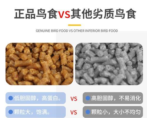 画眉鸟的主要食物及其重要性（揭秘画眉鸟的食物偏好和饮食习惯）