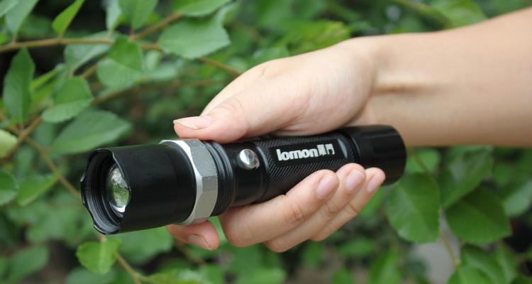 耳朵藏虫子症状与处理方法｜防治全攻略