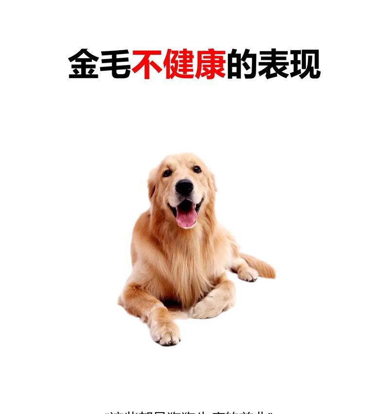 常见狗病分析与预防｜品种健康指南