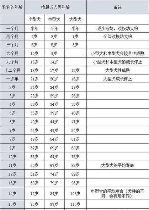 狗年龄之谜（解析狗年龄快速衰老的原因与影响）