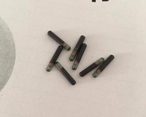 狗晶片（智能科技为你的狗带来全新的安全保障）