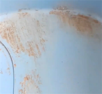 福丸混合猫砂测评