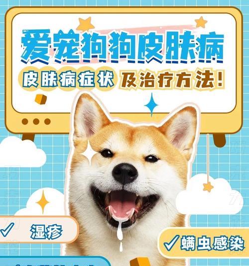 治疗狗狗真菌皮肤病的饮食指南(探索营养与天然食品,有效缓解狗狗真菌皮肤病) 治疗狗狗真菌皮肤病的饮食指南(探索营养与天然食品,有效缓解狗狗真菌皮肤病)