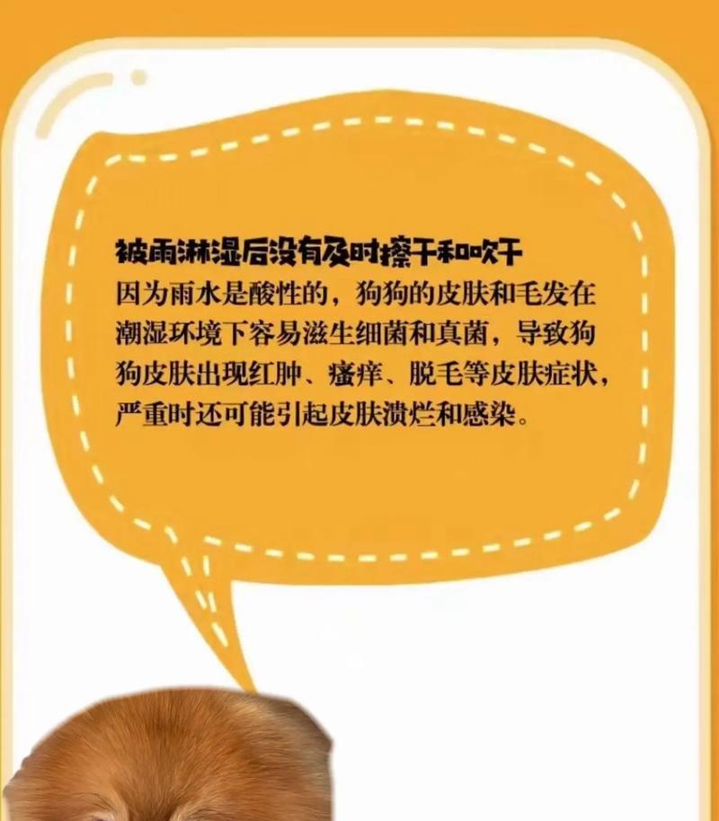 治疗狗狗真菌皮肤病的饮食指南(探索营养与天然食品,有效缓解狗狗真菌皮肤病) 治疗狗狗真菌皮肤病的饮食指南(探索营养与天然食品,有效缓解狗狗真菌皮肤病)