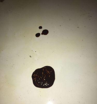 狗狗尿液的颜色对健康的影响(了解狗狗尿液颜色的重要性及其健康暗示) 狗狗尿液的颜色对健康的影响(了解狗狗尿液颜色的重要性及其健康暗示)