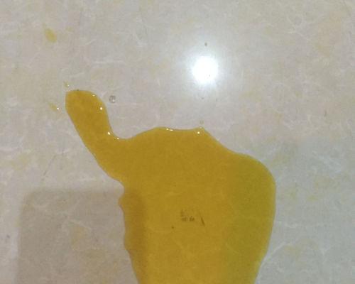 狗狗尿液的颜色对健康的影响(了解狗狗尿液颜色的重要性及其健康暗示) 狗狗尿液的颜色对健康的影响(了解狗狗尿液颜色的重要性及其健康暗示)