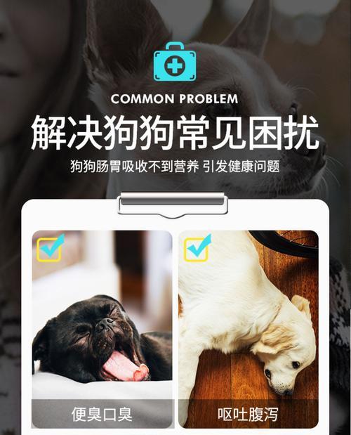 博美牙齿发黄还口臭的原因及解决方法（博美牙齿失去光泽，口气难闻的问题该如何解决？）