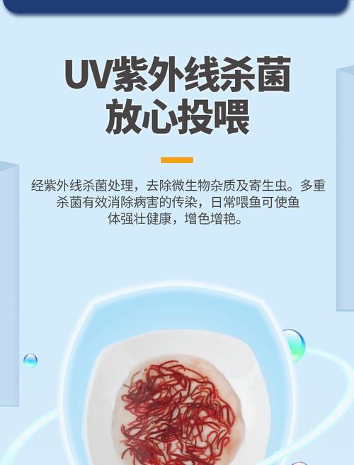 科学喂食时间（探索合适的喂食时间以促进鱼类生长和健康）