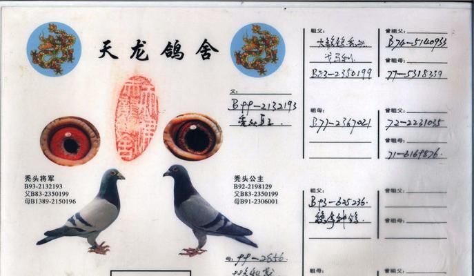 黄金血统的意义与特征（探索血统中的珍贵财富）