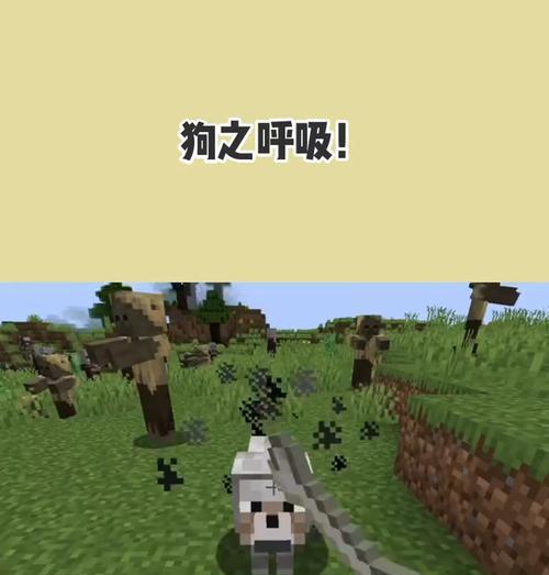 小狗喘气声音原因解析｜常见健康问题与应对指南