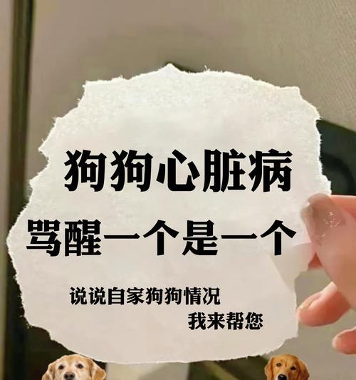 小狗喘气声音的原因（探究小狗喘气声音背后的原因和可能的健康问题）