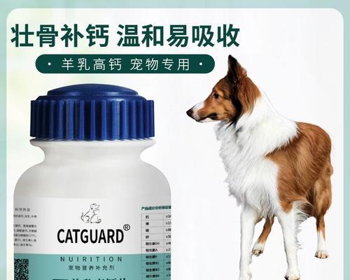 苏牧与喜乐蒂的差异（一探两位音乐家的个性与创作风格）