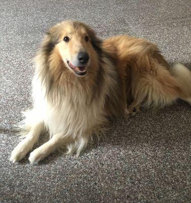 苏牧与喜乐蒂的差异（一探两位音乐家的个性与创作风格）