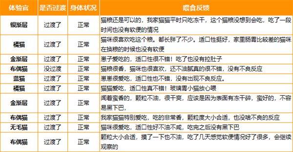 猫儿游记猫粮实测