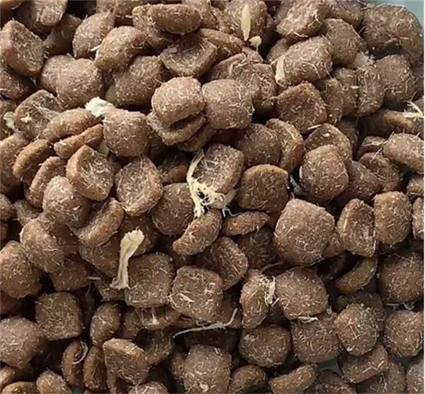 猫儿游记猫粮适口性